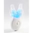 Home Teeth Whitening Kit